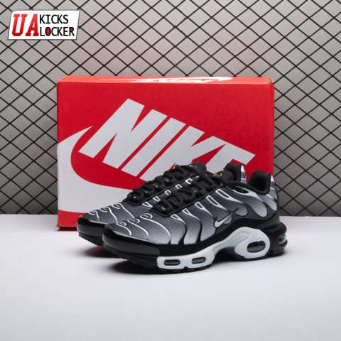 Nike Air Max Plus Black Silver White DM0032-003 Unisex