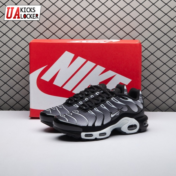 Nike Air Max Plus Black Silver White DM0032-003 Unisex